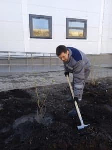 Сотрудник копает землю лопатой во время весеннего субботника